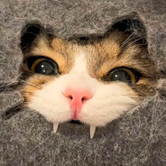 学长毕业跑起来