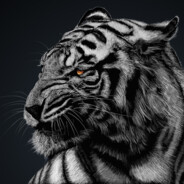 el Tigre.