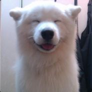 puggs - steam id 76561197960383255