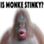 Monki&#039;