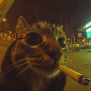 ｗｉｌｌ ｂｅ ｆｉｎｅ