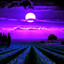 MooNLiGHT
