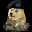 General Doge