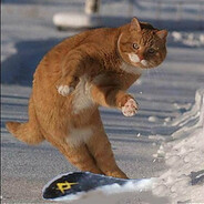 silika - steam id 76561198054976308