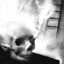 Bob The Skull