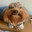 andrzei's Avatar