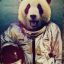 Pandabear :)
