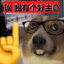 沼泽点子王
