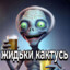 Madzingao Ping