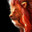 AztecStewLion