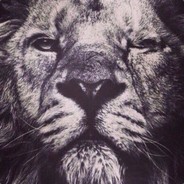 ИЛЮХА МАШИНА