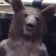 ᵖˢʸᶜʰᵒˢᵒᶜiᵃˡ