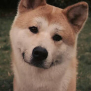 一曲新词酒一杯