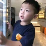 翻斗花园突击手