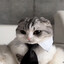 Tomek