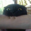 zakrencony360