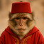 MoroccoMonkey