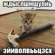 gankz0r