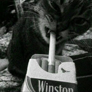 Antoss1410