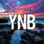 YNB