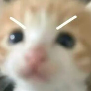 天才在左疯子在右