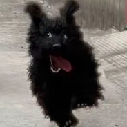 爱玩屎的阿拉蕾