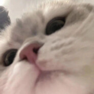 比奇堡纯情少妇