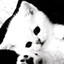 MILLTY's avatar