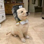 买和B仔一样的显示器就可以设B仔的比例了