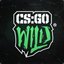 H0LL0W #CSGO.Wild