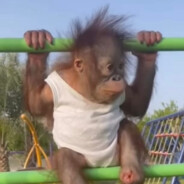 Борис Торчо228