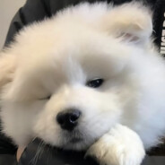 别骂我呗我是自闭症