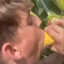 Corn Enjoyer