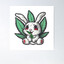 420 kounelaki