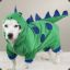 dinodog_alex