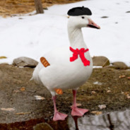 French Goose