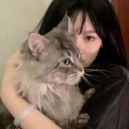 小鹿真的会无语