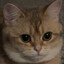 LilRiceBowlWalkEmDownWithADraco