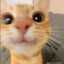 Rengoky