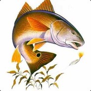 Wooly - steam id 76561197960461994