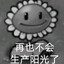 第十二枝玫瑰