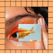 白给玩家电脑同志