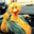 Big Bird Da Nerd