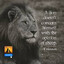 The Lion