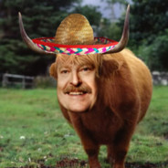 Sonni "Bull" Willowhill