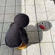 睡觉大王