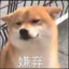 小姜Sir