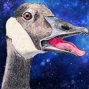 MrTau