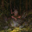 Thaddeus the Hermit