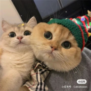 서울 최초의 총신